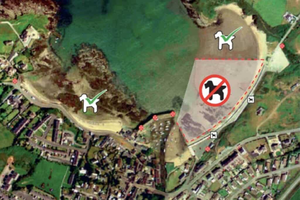 Dog Restrictions in Cemaes Bay