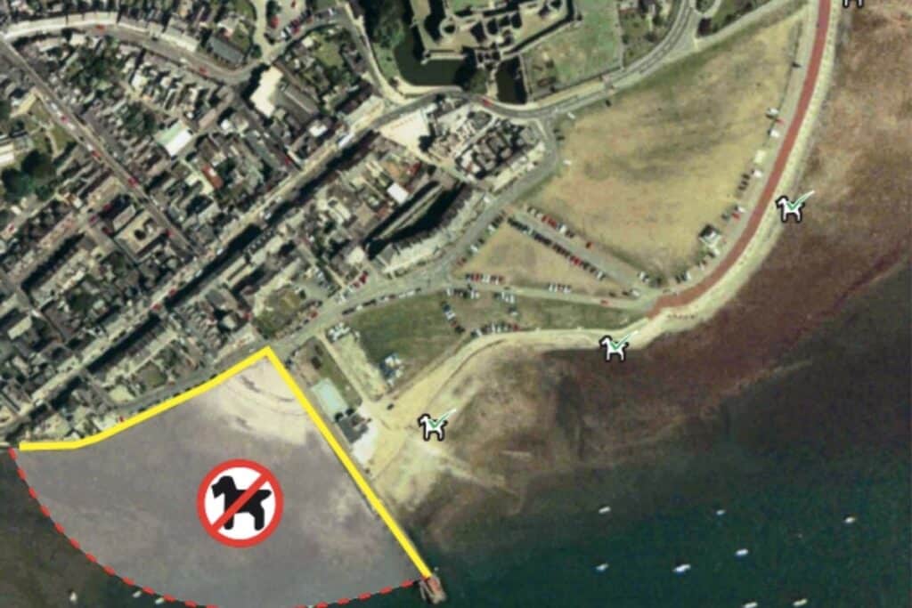 Dog Restrictions on Beaumaris Beach