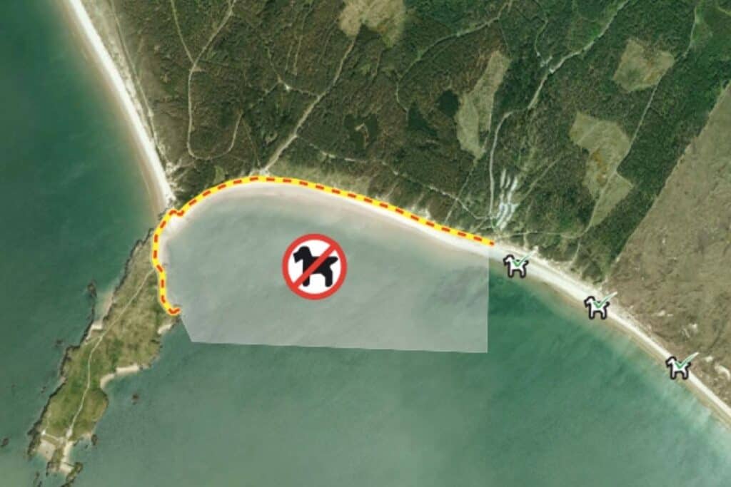 Dog Restrictions on Newborough Beach