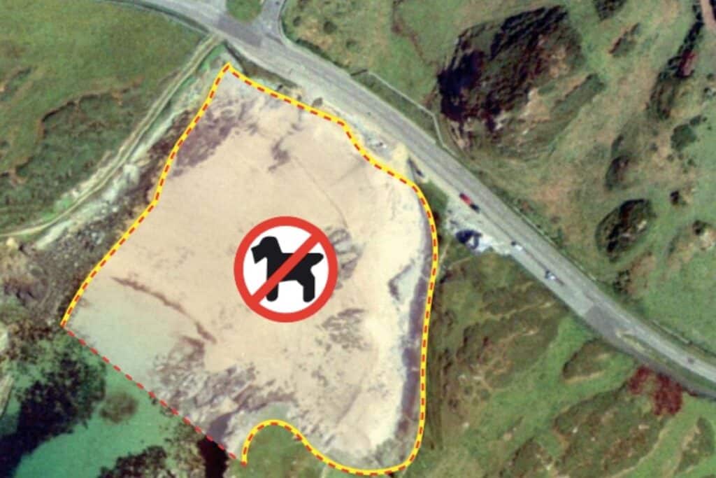 Dog Restrictions on Porth Dafarch