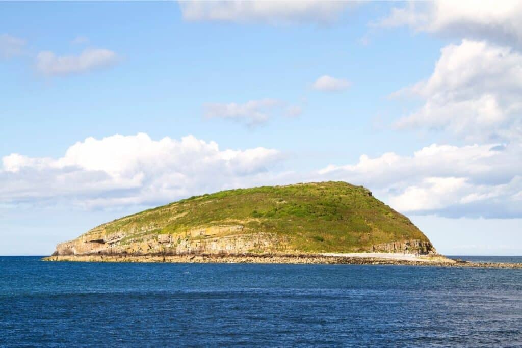 Puffin Island