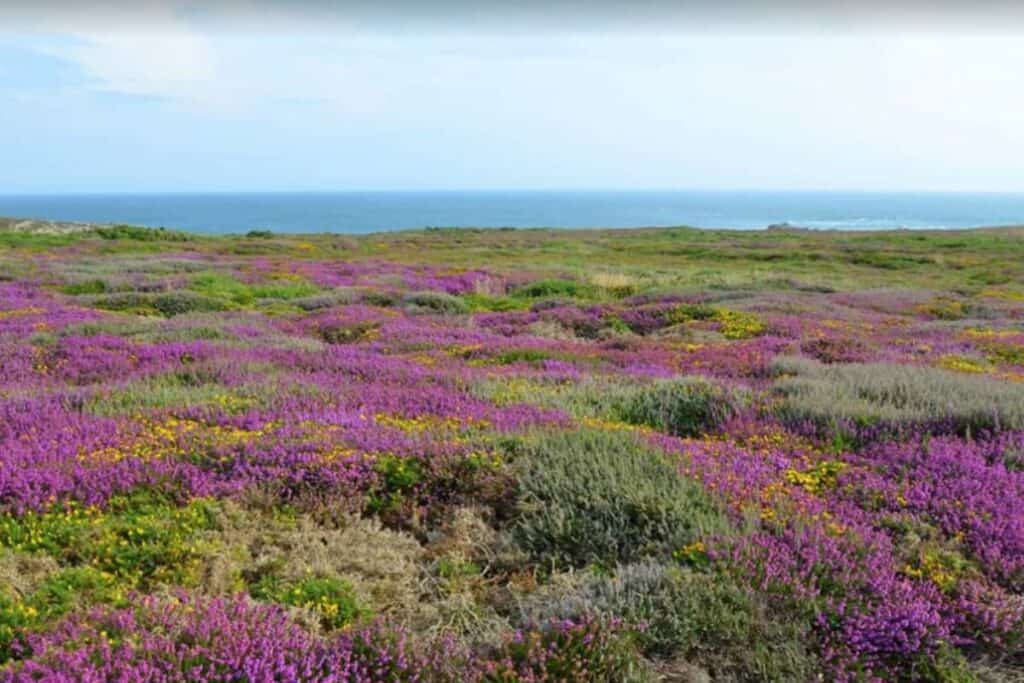 Things to do in Holyhead The Range