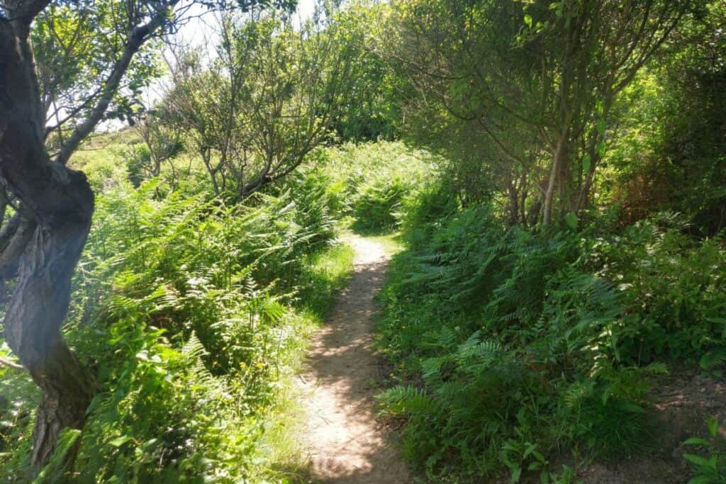 White Beach Anglesey Path