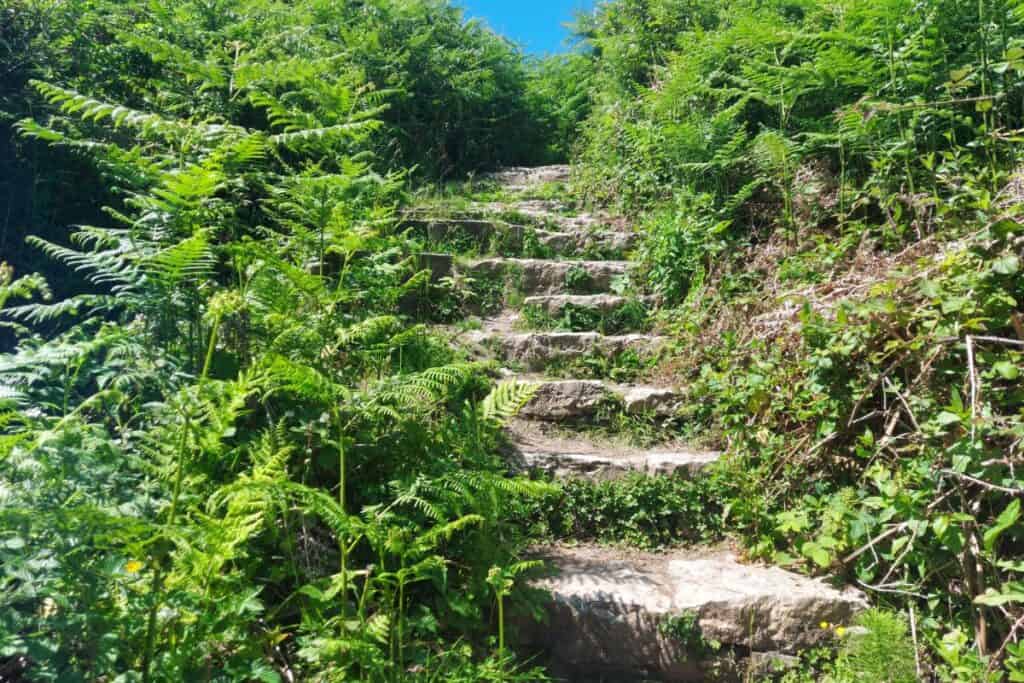 White Beach Anglesey Steps