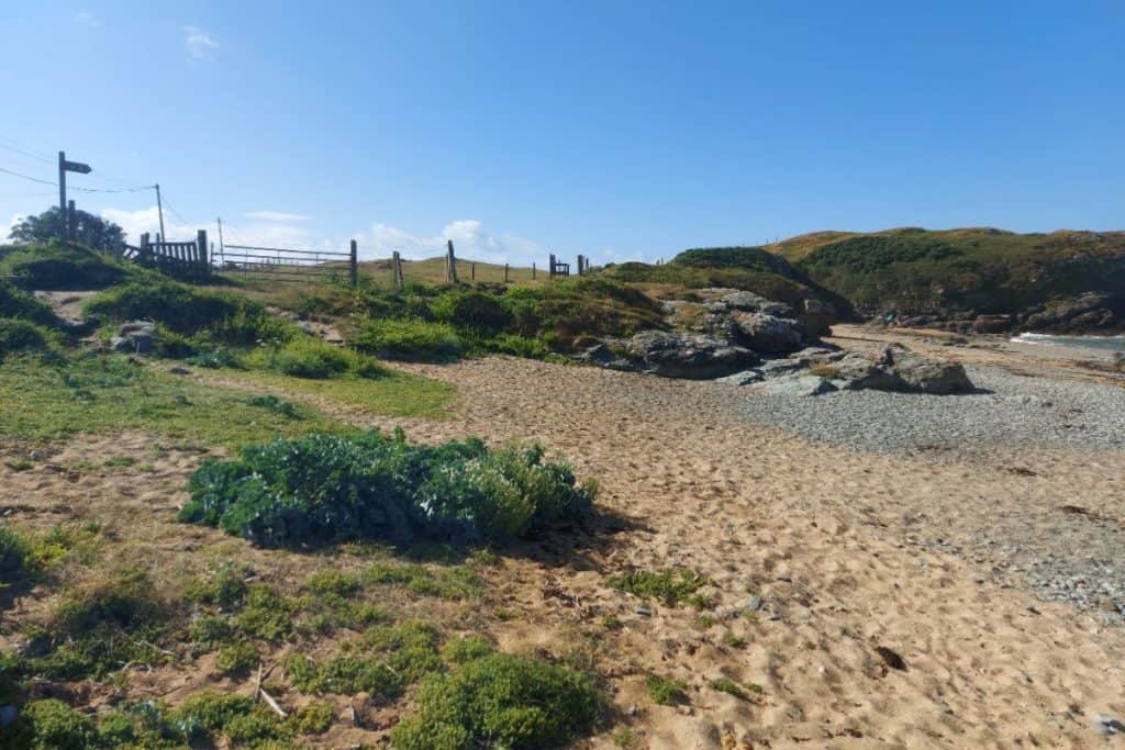 Porth Dafarch Walking